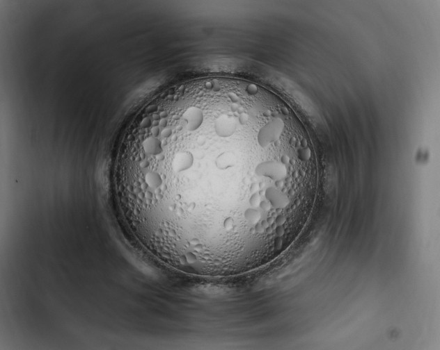 X0000103500537200809121741