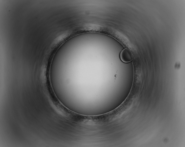 X0000103500538200809121741