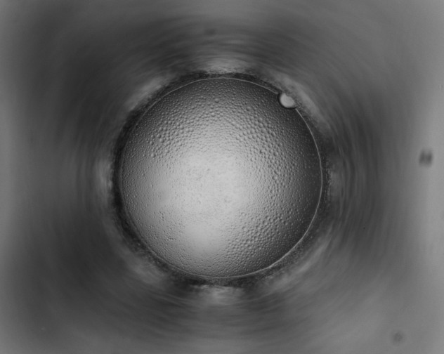 X0000103500539200809121741