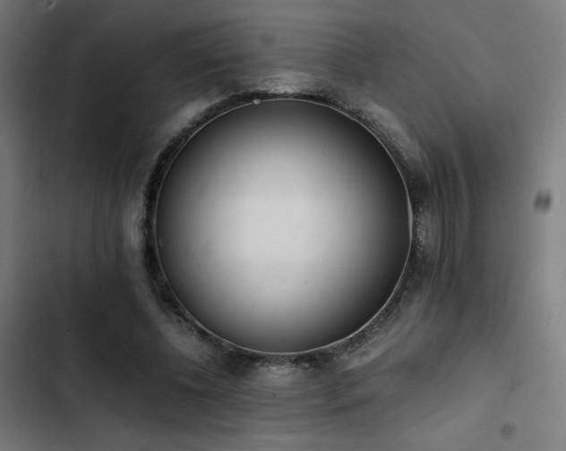 X0000103500540200809121741