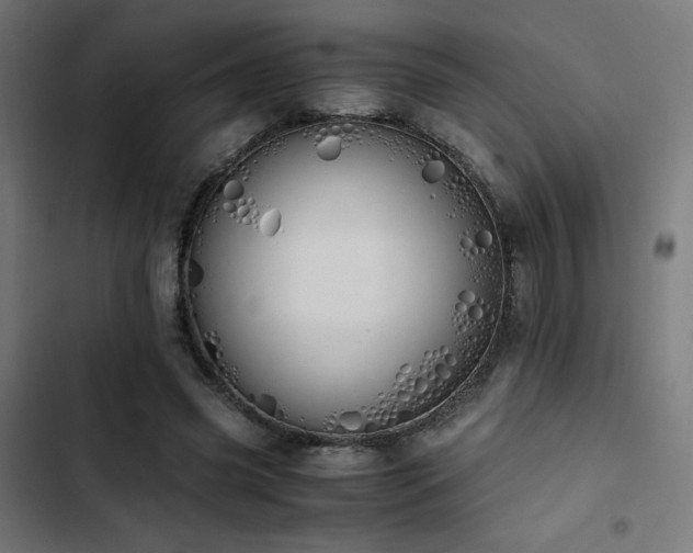 X0000103500541200809121742