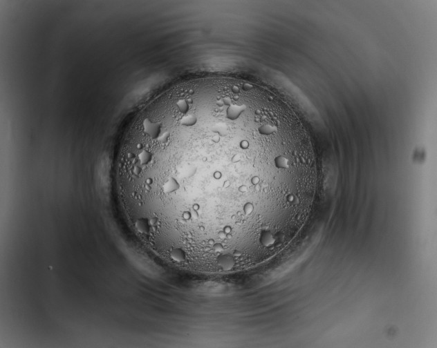 X0000103500542200809121742