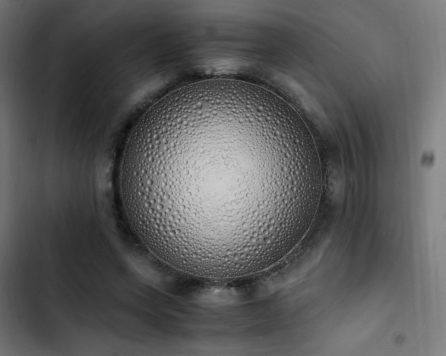 X0000103500543200809121742