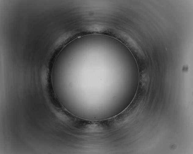 X0000103500544200809121742