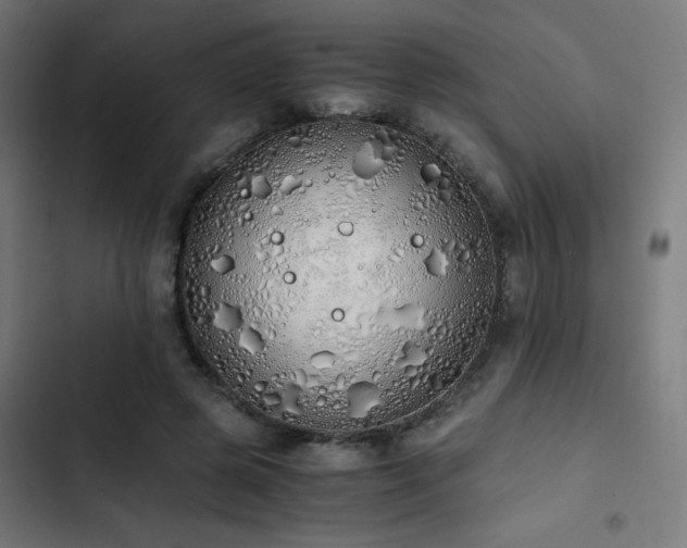 X0000103500545200809121742