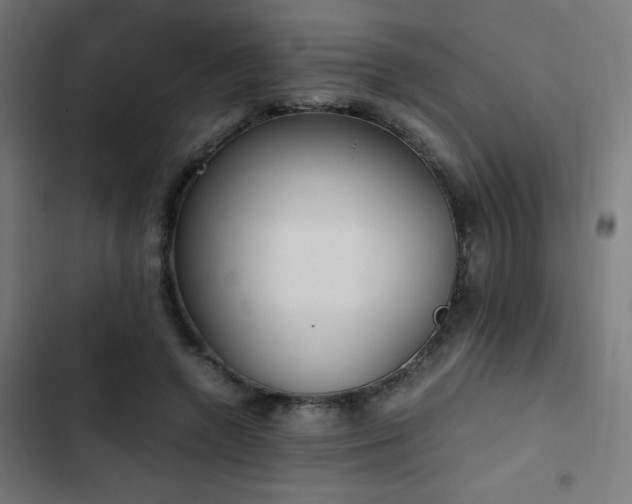 X0000103500546200809121742