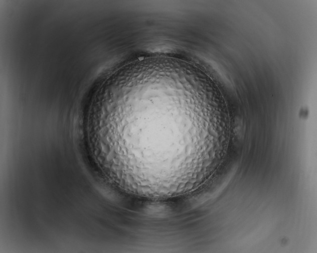 X0000103500547200809121742