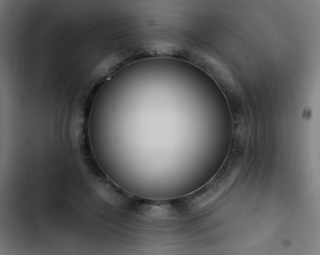 X0000103500548200809121742