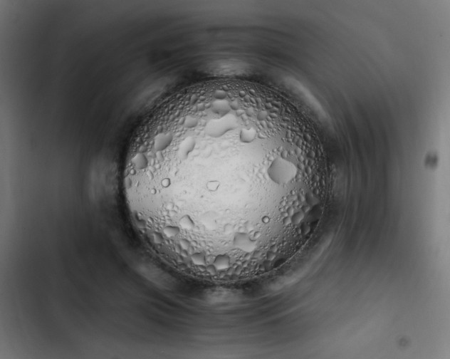 X0000103500549200809121742