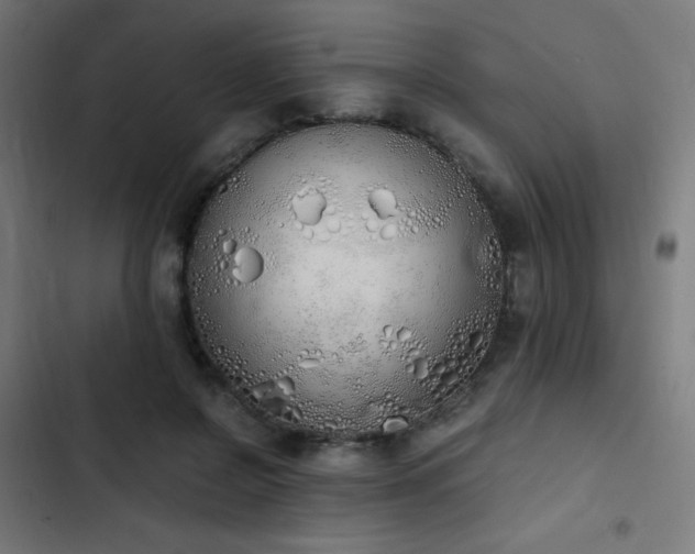 X0000103500550200809121742