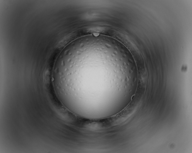 X0000103500551200809121742