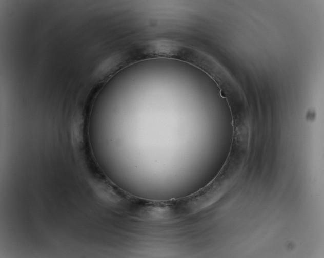 X0000103500552200809121742