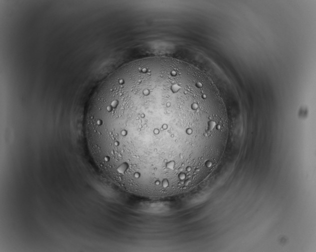 X0000103500553200809121742