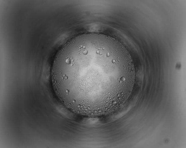 X0000103500554200809121742