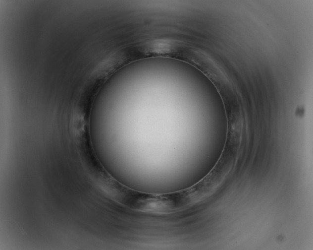 X0000103500555200809121742