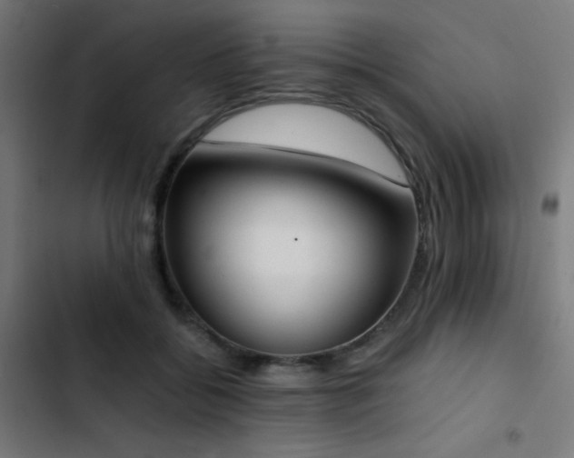 X0000103500556200809121742