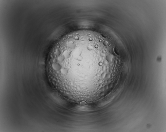 X0000103500557200809121742