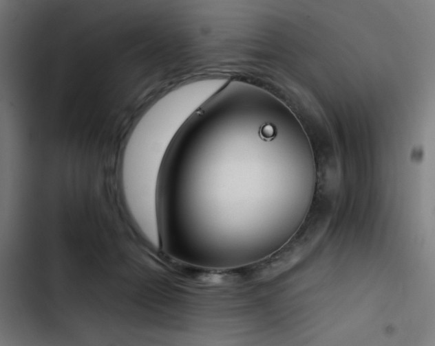 X0000103500558200809121742