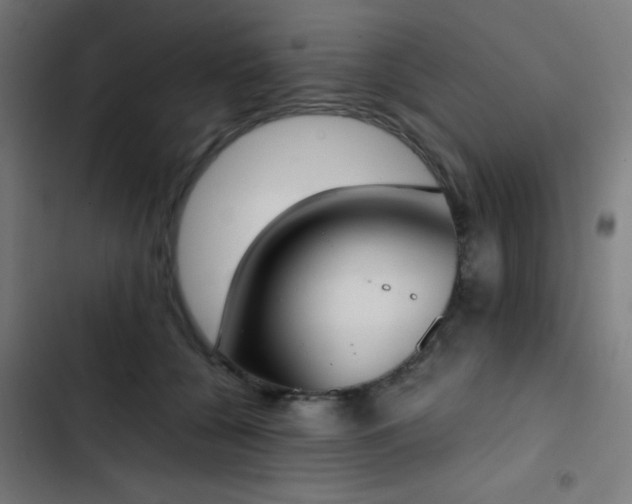 X0000103500560200809121742