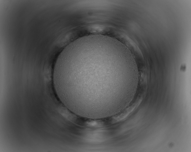 X0000103500561200809121742