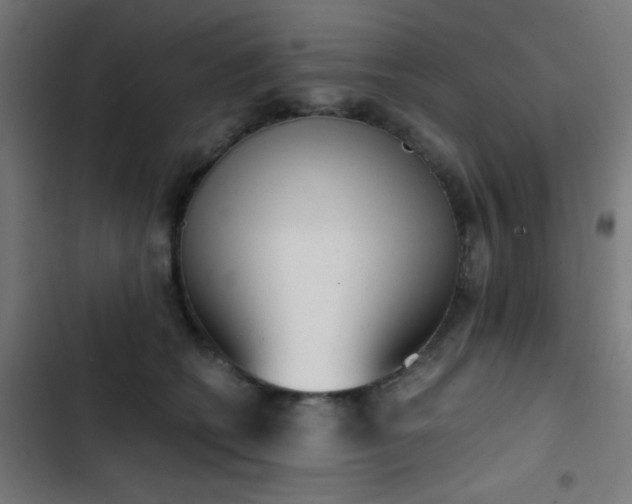 X0000103500562200809121742