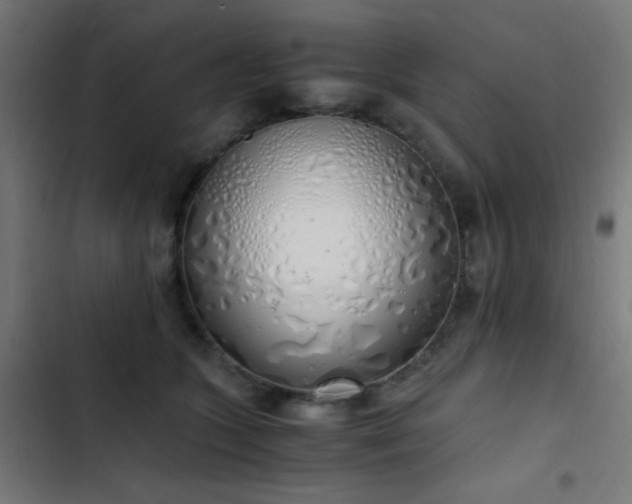 X0000103500563200809121742