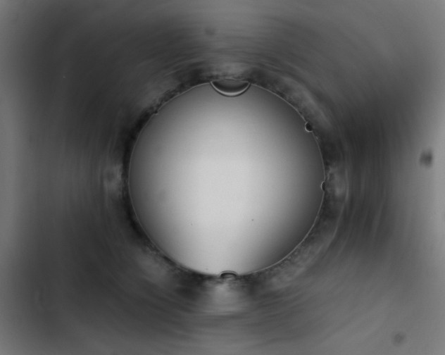 X0000103500564200809121742