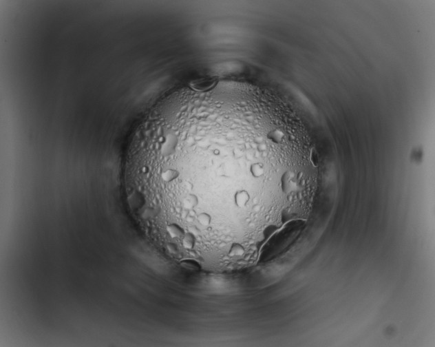 X0000103500565200809121742