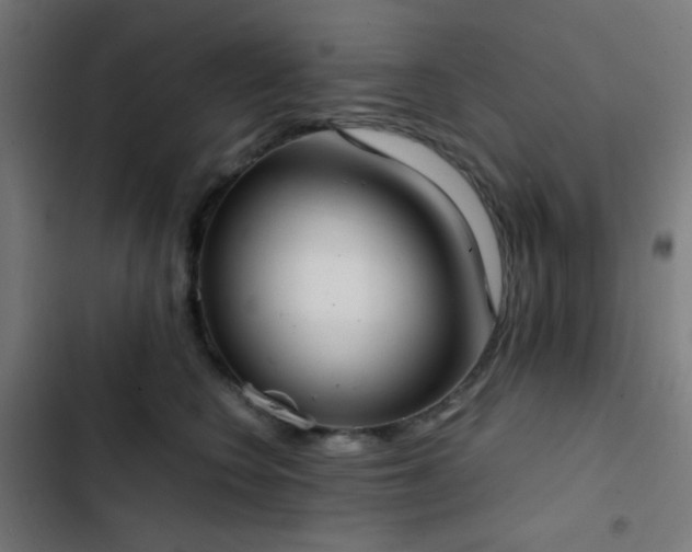 X0000103500566200809121742