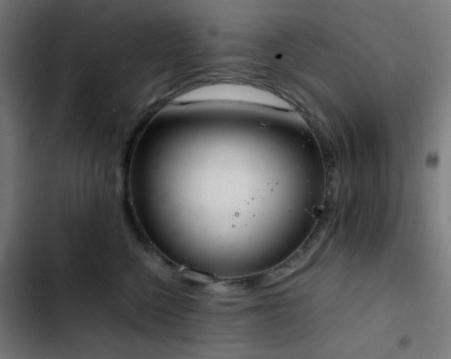 X0000103500568200809121742