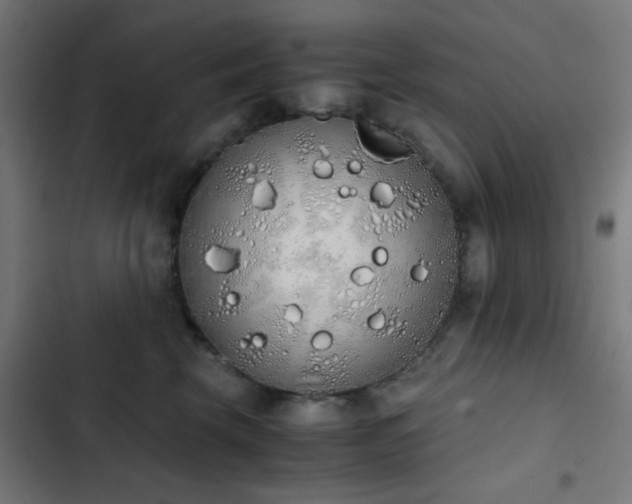 X0000103500569200809121742