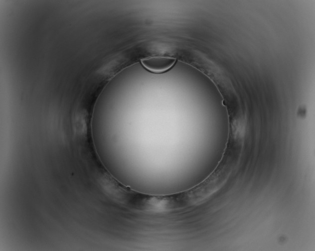 X0000103500570200809121742