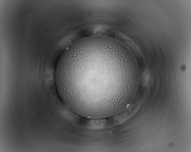 X0000103500571200809121742