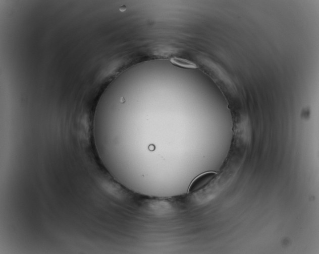 X0000103500572200809121742