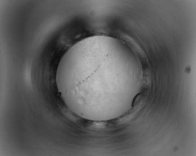 X0000103500573200809121742