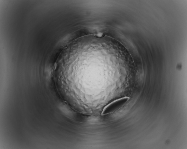 X0000103500574200809121742