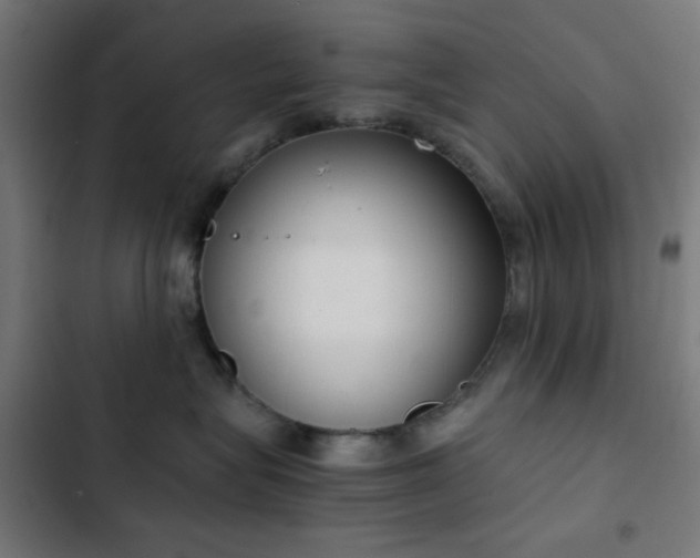 X0000103500575200809121742