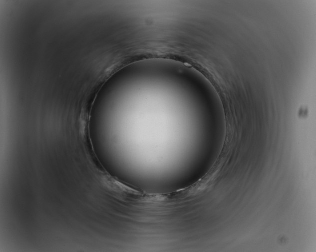 X0000103500576200809121742