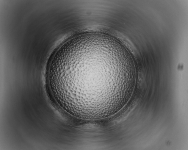 X0000103500578200809121741