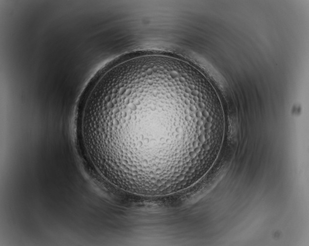 X0000103500580200809121741