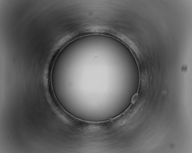 X0000103500581200809121741