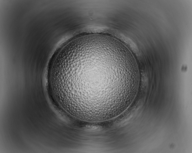 X0000103500582200809121741