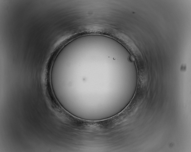 X0000103500583200809121741