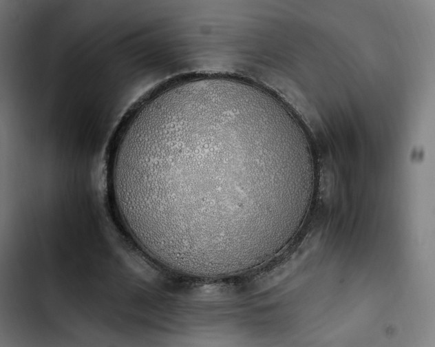 X0000103500584200809121741