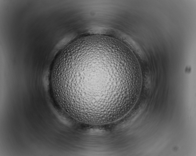 X0000103500586200809121741