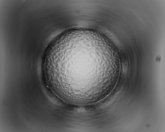 X0000103500588200809121741