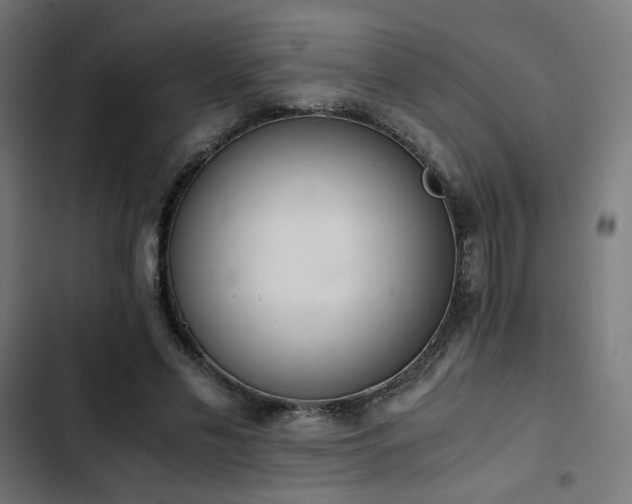 X0000103500589200809121741