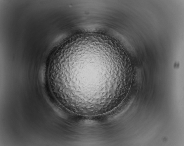 X0000103500590200809121741