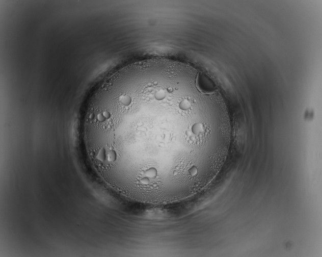 X0000103500591200809121741