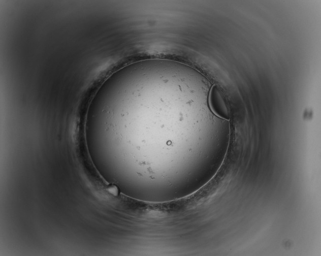 X0000103500592200809121741